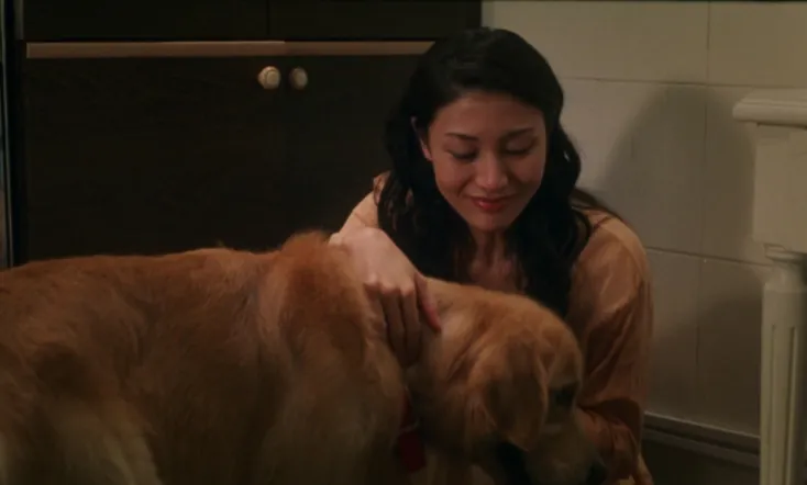 Every Dog Has His Date