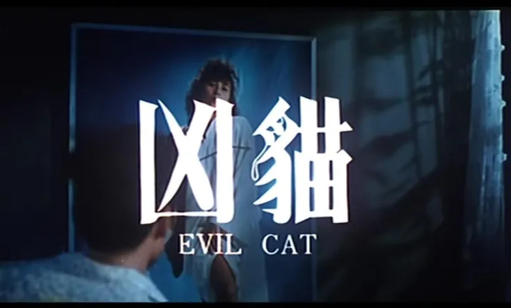 Evil Cat