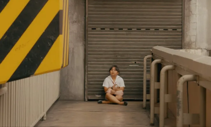 Excuse Me, Miss, Miss, Miss