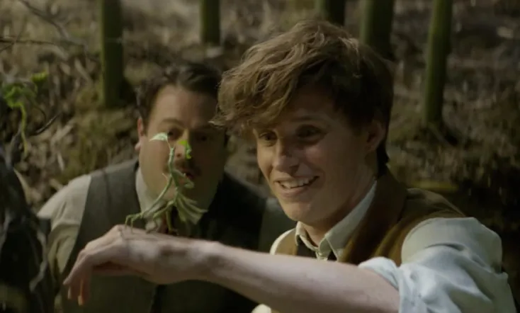 Fantastic Beasts and Where to Find Them