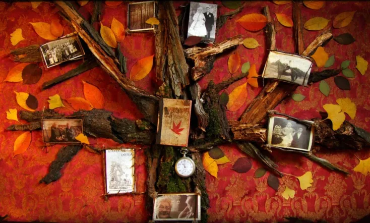 Felvidek – Caught in Between