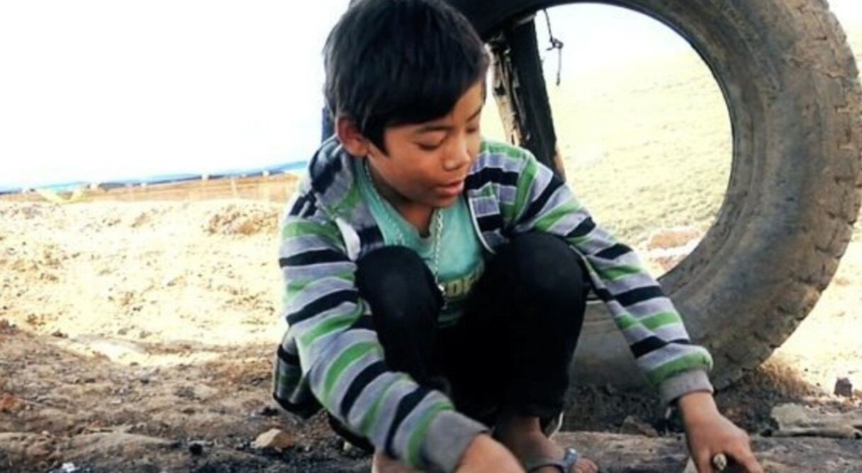 Fireflies in the Abyss