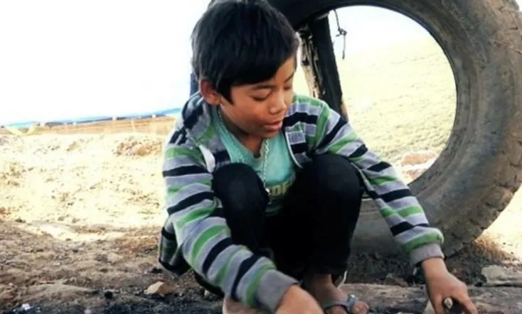 Fireflies in the Abyss