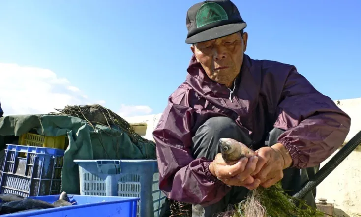 Fish! A Japanese Obsession