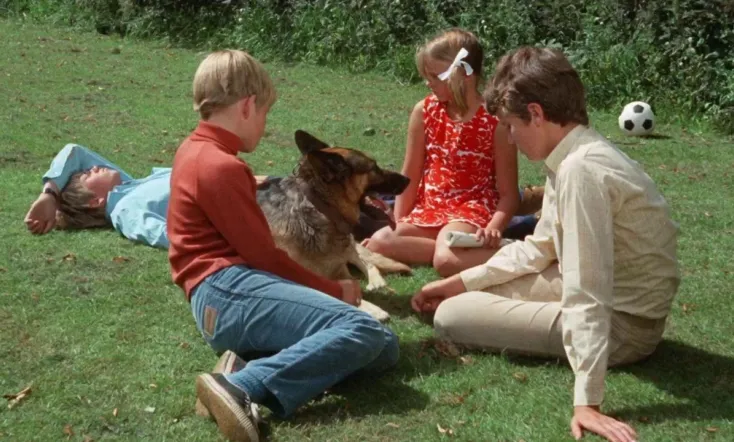 Five Get Into Trouble