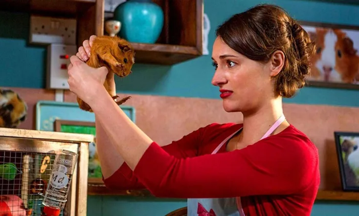 Fleabag - Season 1