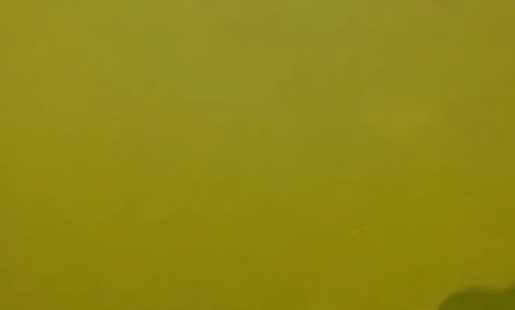 Floridan Mario Bros.