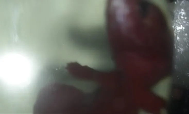 for the devil who sleep on my bed