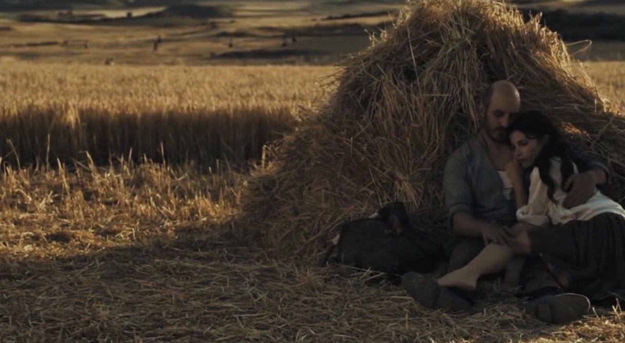 From Your Window to Mine