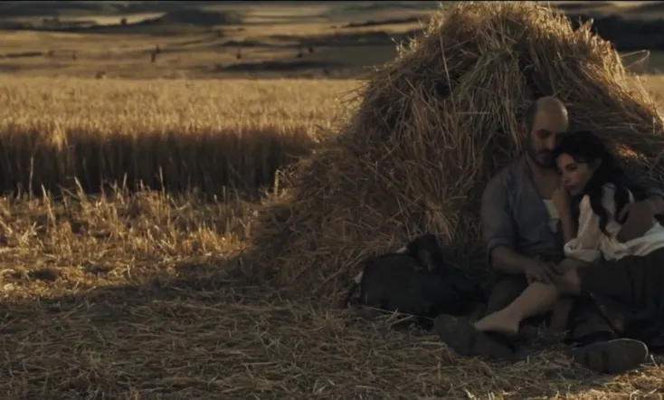 From Your Window to Mine