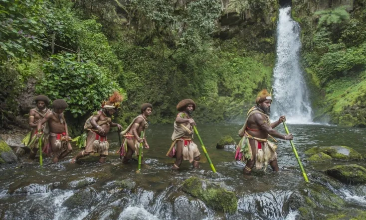 Frères des arbres, l'appel d'un chef papou