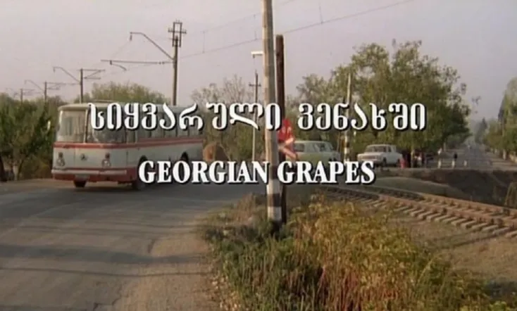 Georgian Grapes