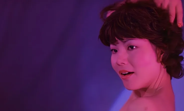 Geisha vs. Ozashiki Stripper