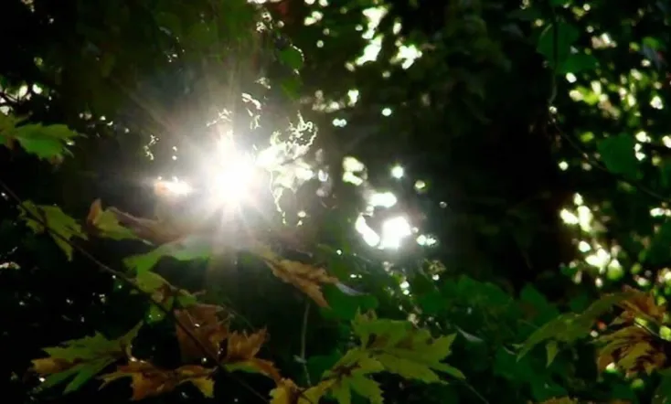 Golden Times – Cassandra’s Treasure