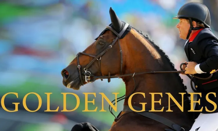 Golden Genes: The secret of Dutch jumpers