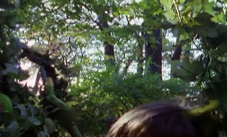 Goosebumps: Stay Out of the Basement