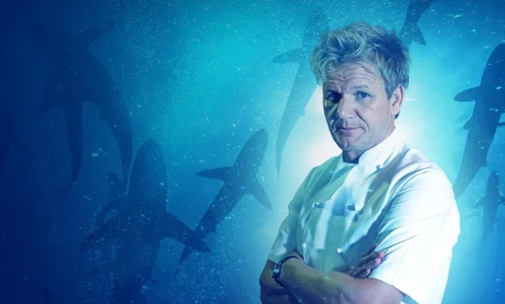 Gordon Ramsay: Shark Bait