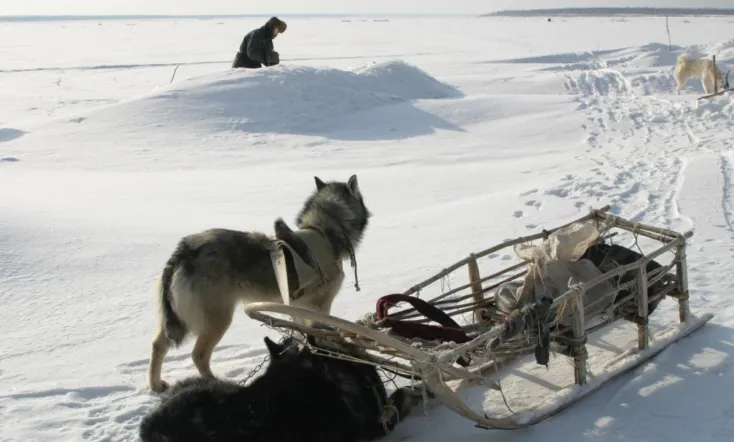 Happy People: A Year in the Taiga