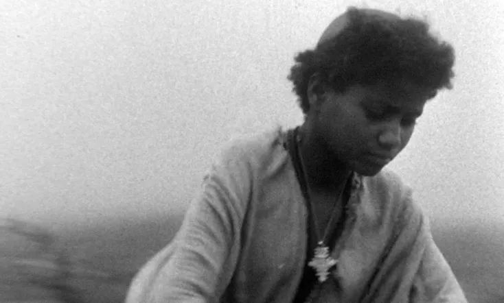 Harvest: 3,000 Years