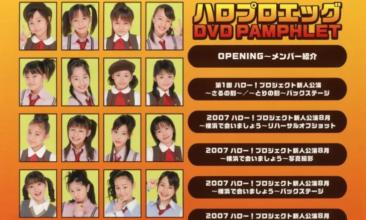 Hello Pro Egg DVD Pamphlet