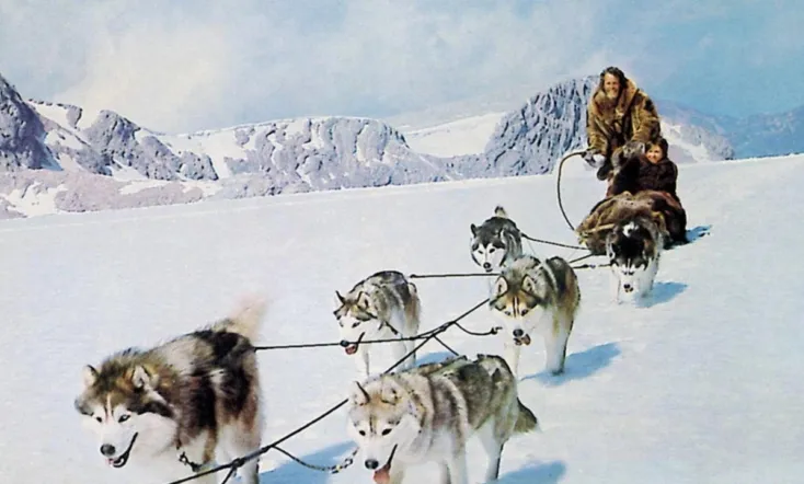 Hell Hounds of Alaska