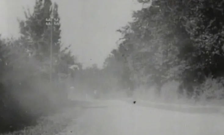 How It Feels to Be Run Over