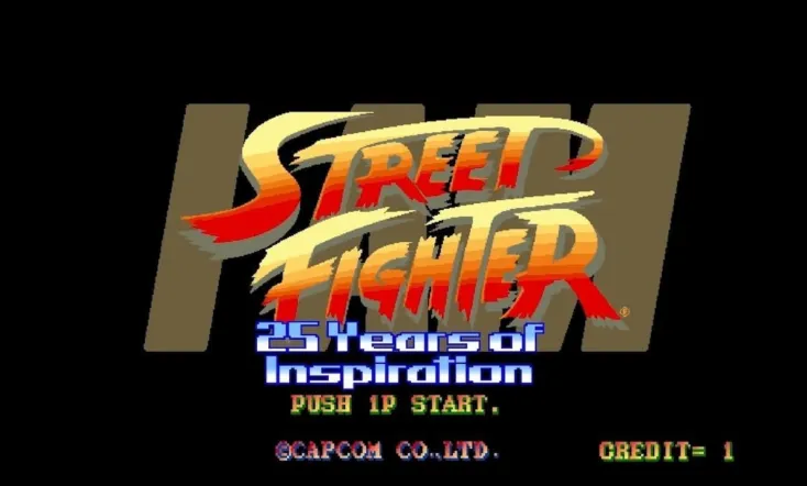 I Am Street Fighter