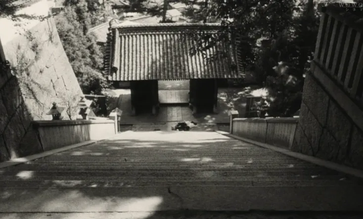 I Are You, You Am Me