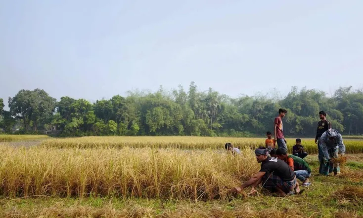 I Dream of Singapore