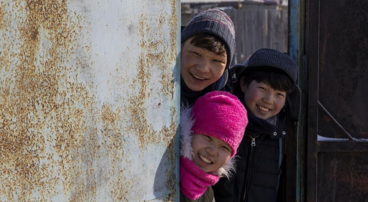 If Only I Could Hibernate