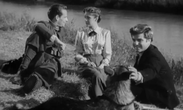 Il caimano del Piave