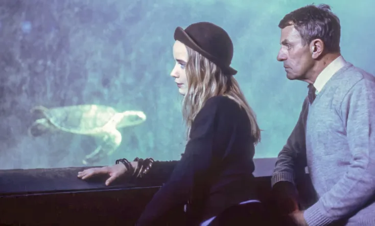 Im Jahr der Schildkröte