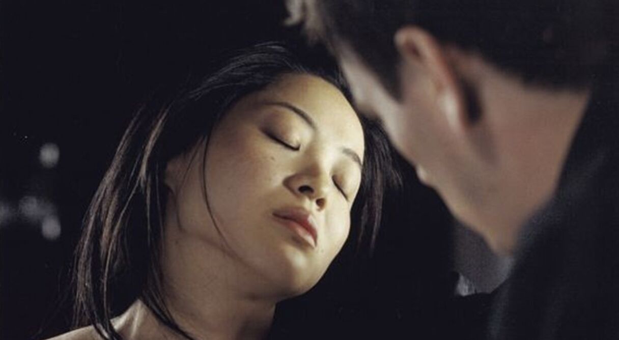 Inju: The Beast in the Shadow