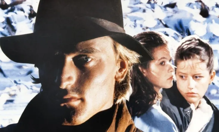 In the Shadow of the Wind