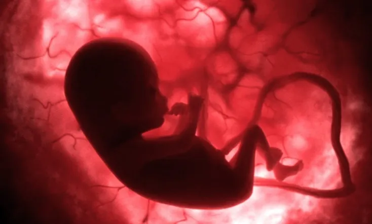 In The Womb