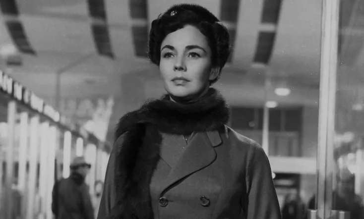 Indiscretion of an American Wife