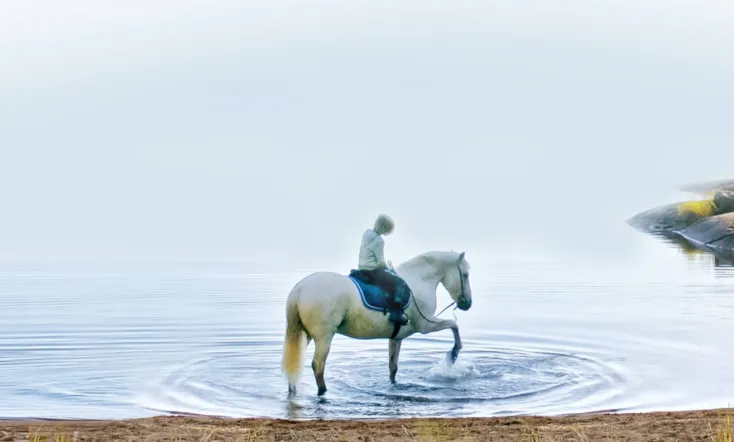 Innan vintern kommer