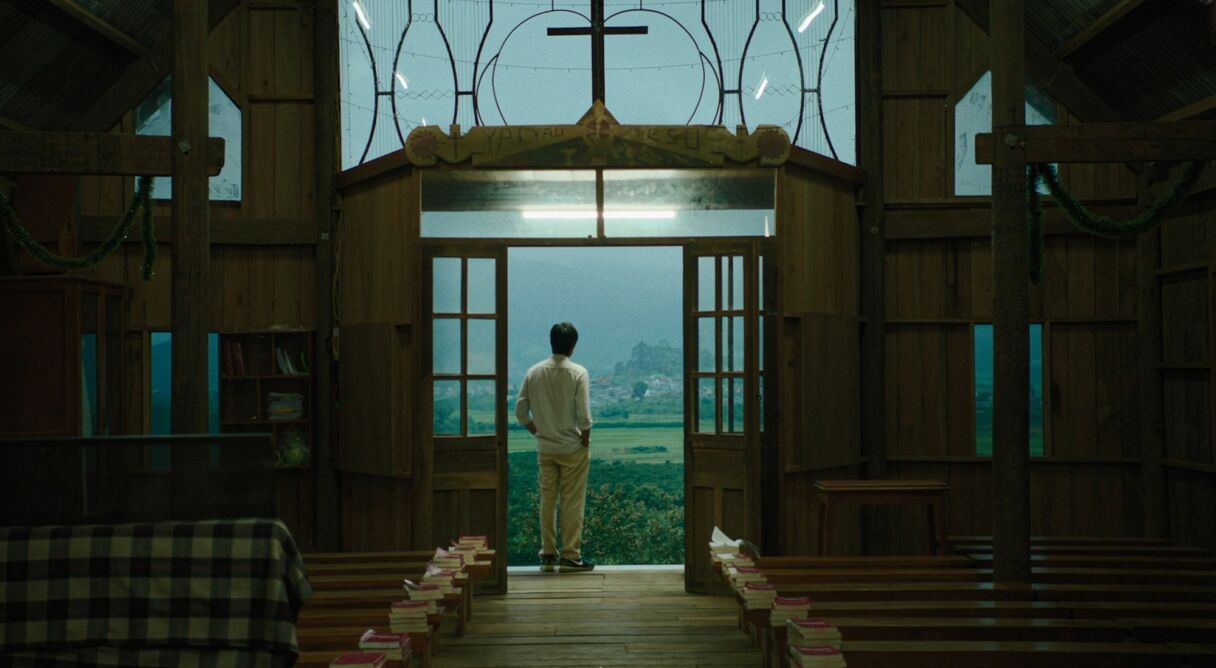 Inside the Yellow Cocoon Shell