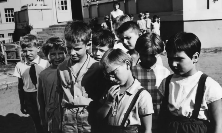 In Search of the Magical Bird