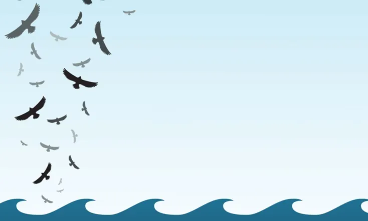 In the Wake of the Flood