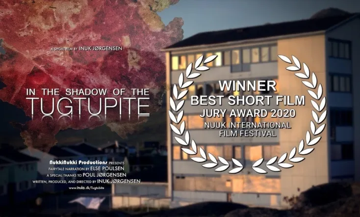 In the Shadow of the Tugtupite