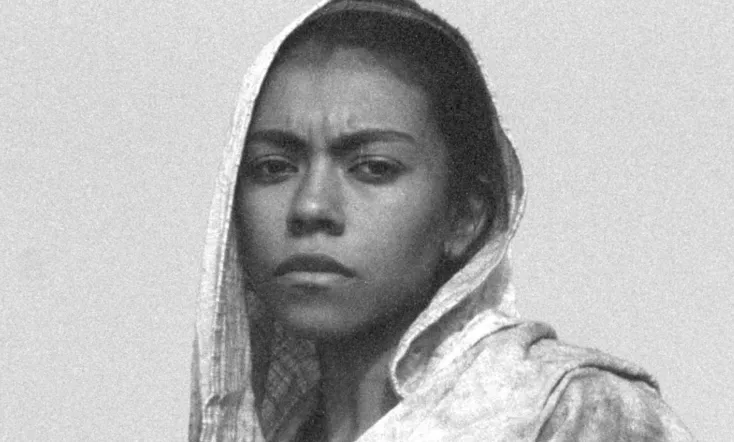 In the Billowing Night