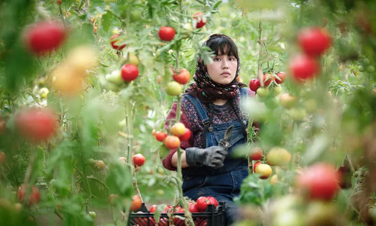 In the Land of Brothers