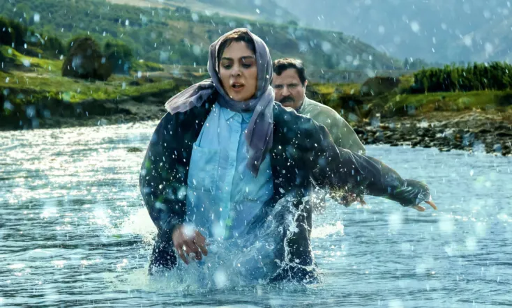 In the Arms of the Tree