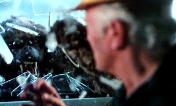 In the Shadow of Kilimanjaro