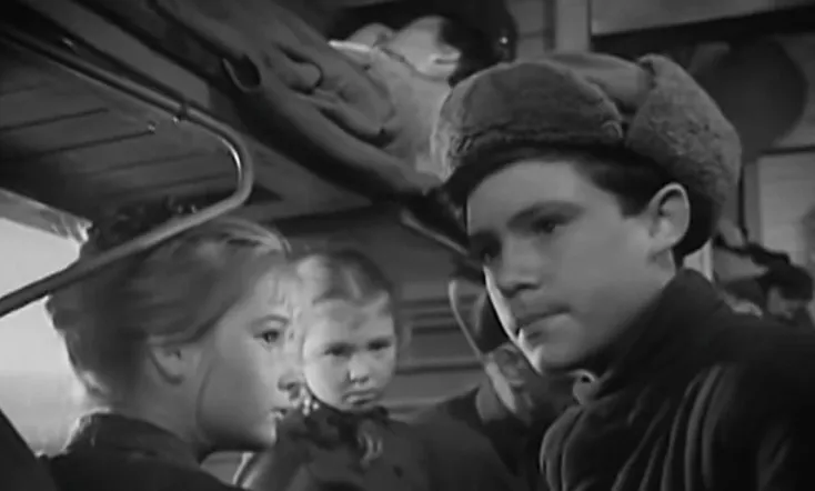 Introduction to Life