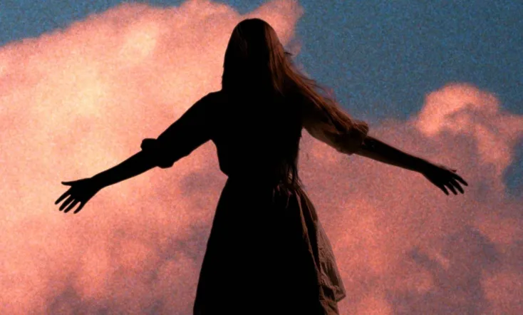 Inventor Crazybrains and the Girl Called Bird