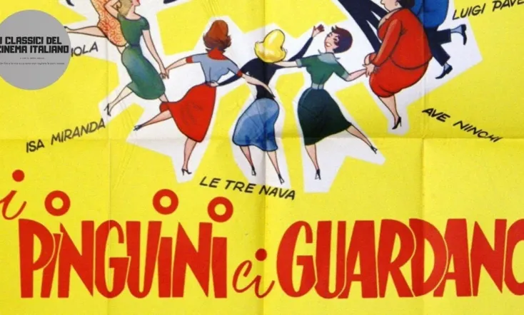 I pinguini ci guardano