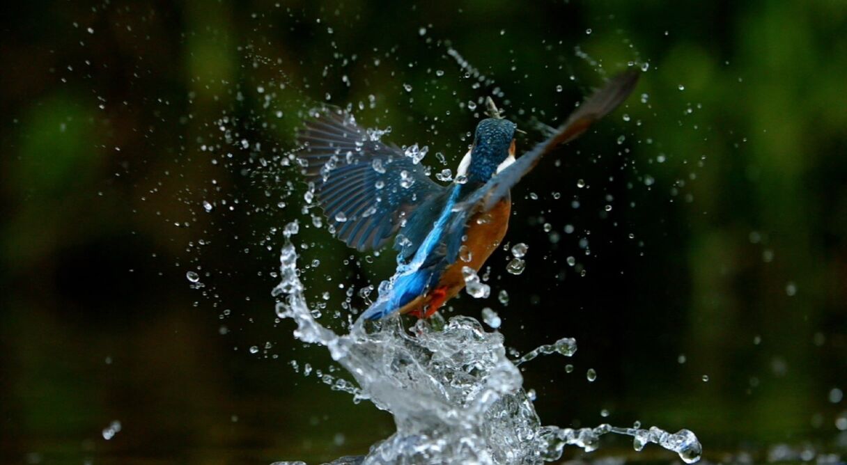 Ireland's Wild River