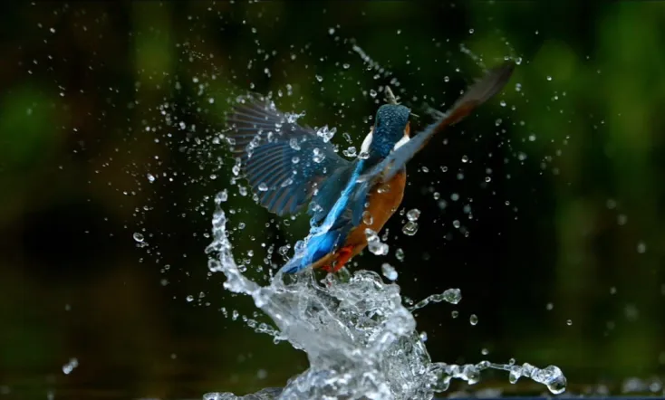 Ireland's Wild River